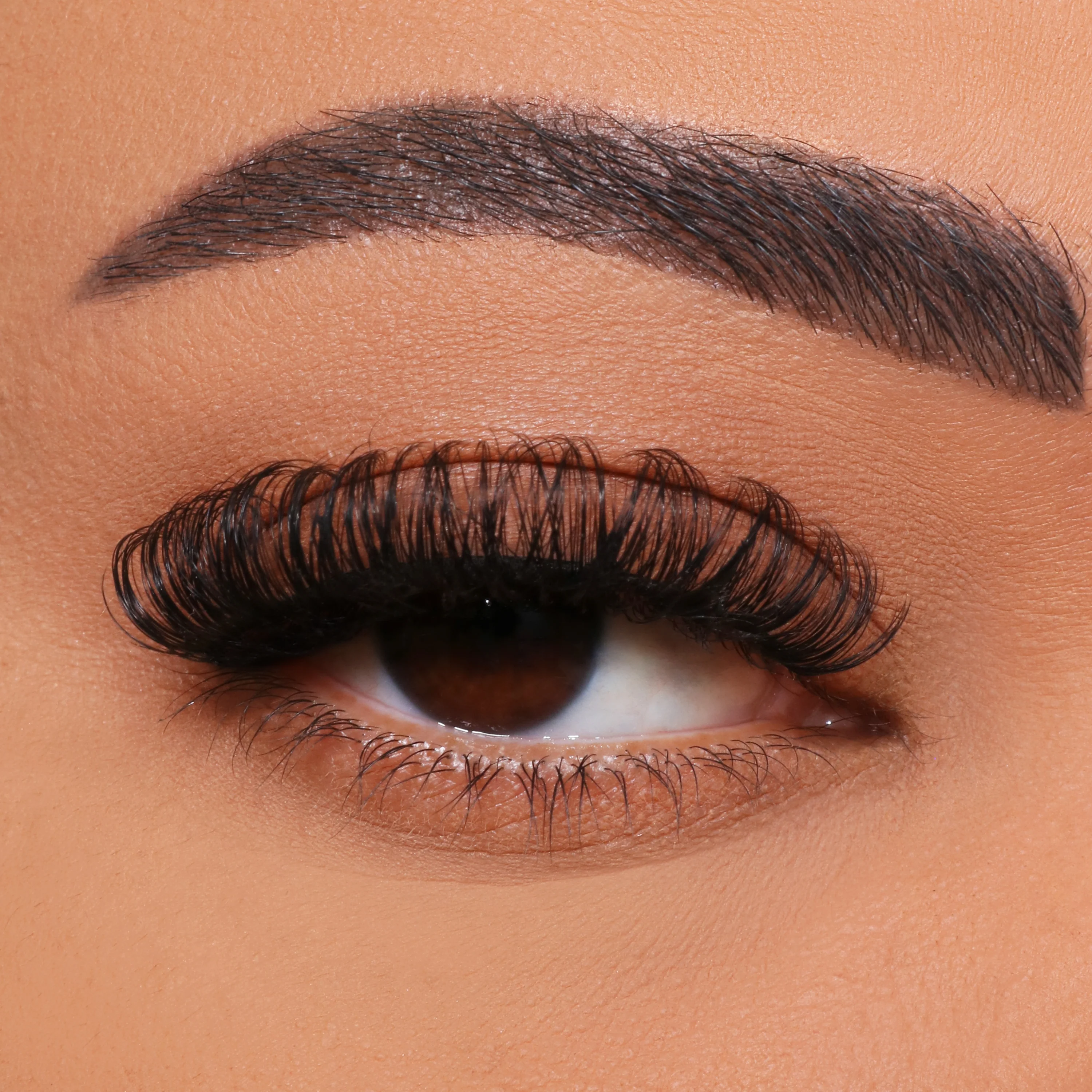 Ako štepenie rias v multiflower?